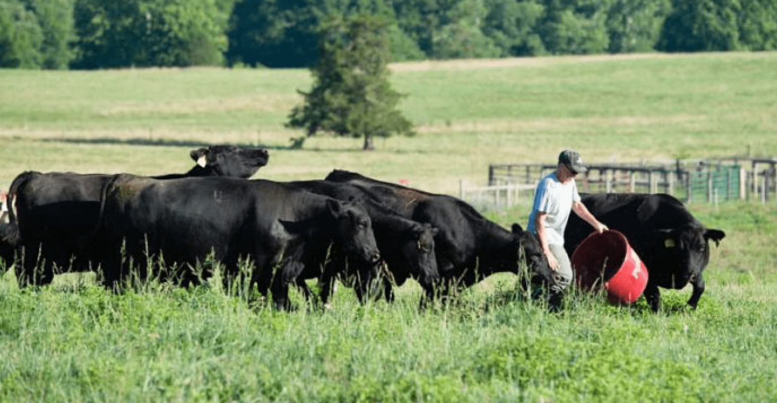 ClosedLoop Recycling See What Land O’Lakes is Doing with Feed Tubs